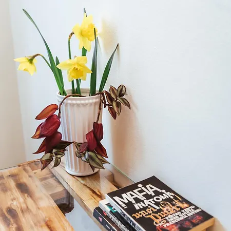 Casa Rosu Κλουζ-Ναπόκα