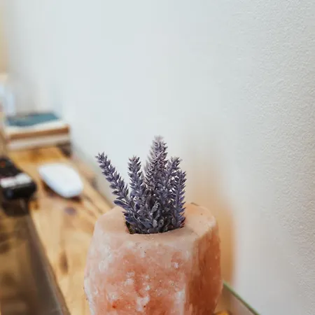 Casa Rosu Ξενοδοχείο Κλουζ-Ναπόκα