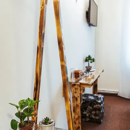 Casa Rosu Κλουζ-Ναπόκα