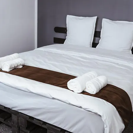 Hotel Casa Rosu *