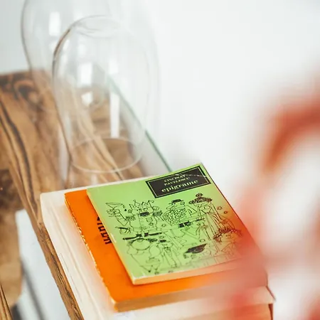 Ξενοδοχείο Casa Rosu