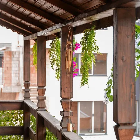 Casa Rosu Otel *