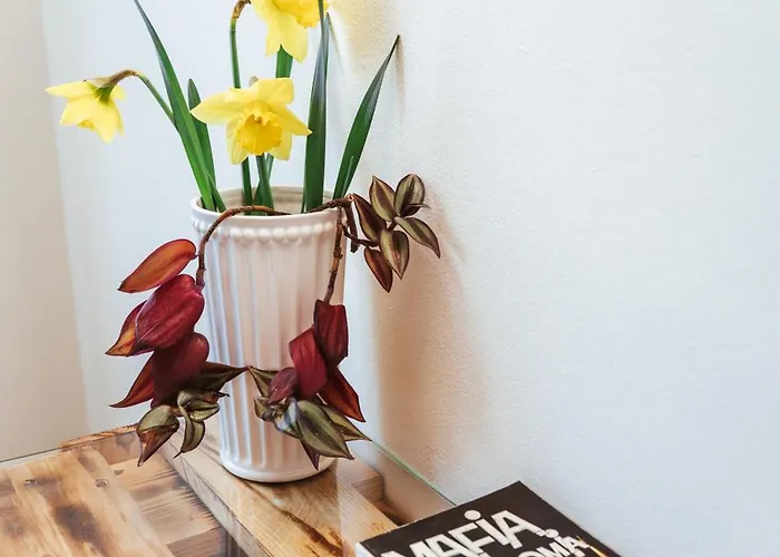 Casa Rosu Kluż-Napoka