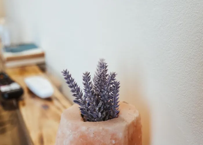 Casa Rosu Hotel Kluż-Napoka